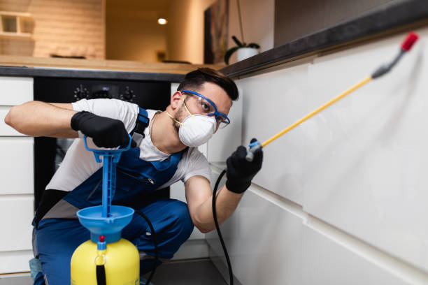 Best Affordable Pest Control Services  in Brooktrails, CA