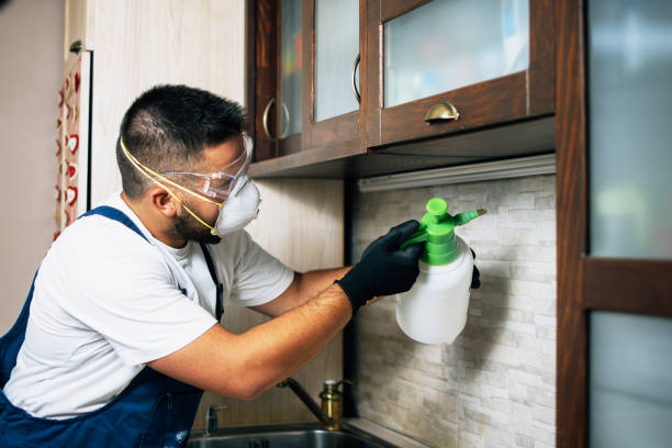 Best Pest Control Near Me  in Brooktrails, CA