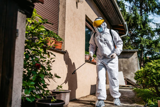 Best Residential Pest Control  in Brooktrails, CA