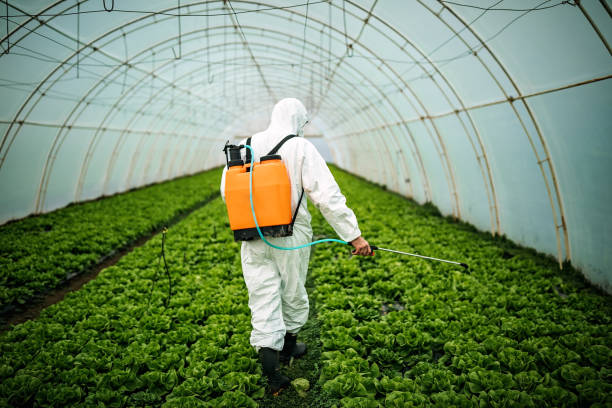 Best Best Pest Control Companies  in Brooktrails, CA