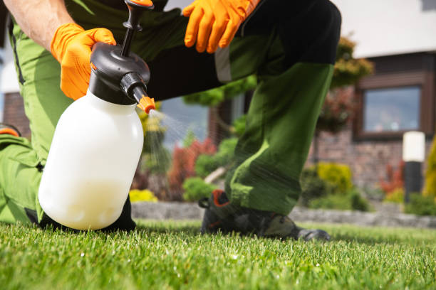 Best Ant Control Services  in Brooktrails, CA
