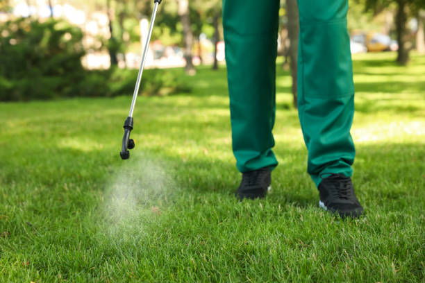 Best Bed Bug Extermination  in Brooktrails, CA