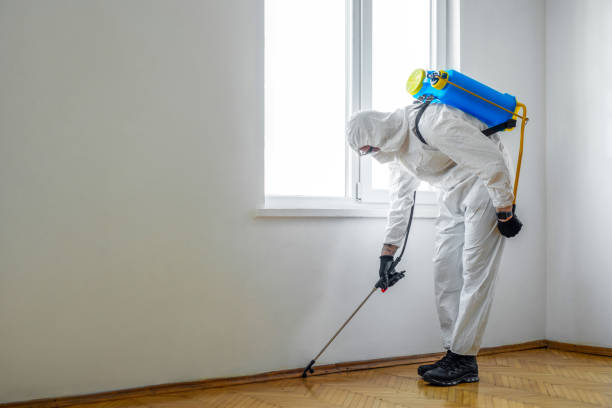 Best Pest Prevention Services  in Brooktrails, CA