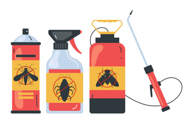 Best Wasp Removal Services  in Brooktrails, CA
