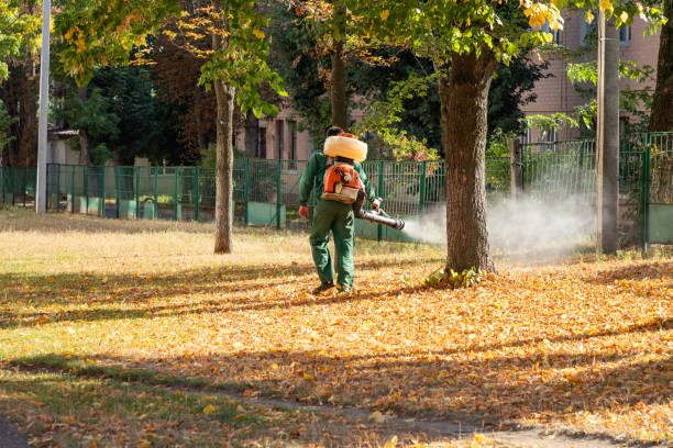 Best Bed Bug Extermination  in Brooktrails, CA