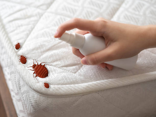 Best Best Pest Control Near Me  in Brooktrails, CA