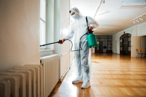 Best Pest Control Near Me in Brooktrails, CA